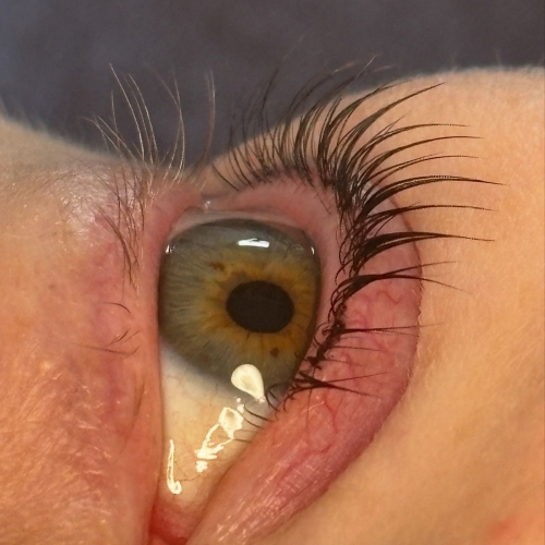 Flot lash lift af Beauty By Kryger, mellem Kolding og Aabenraa